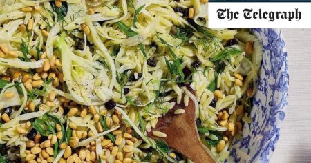 Shaved fennel and orzo recipe
